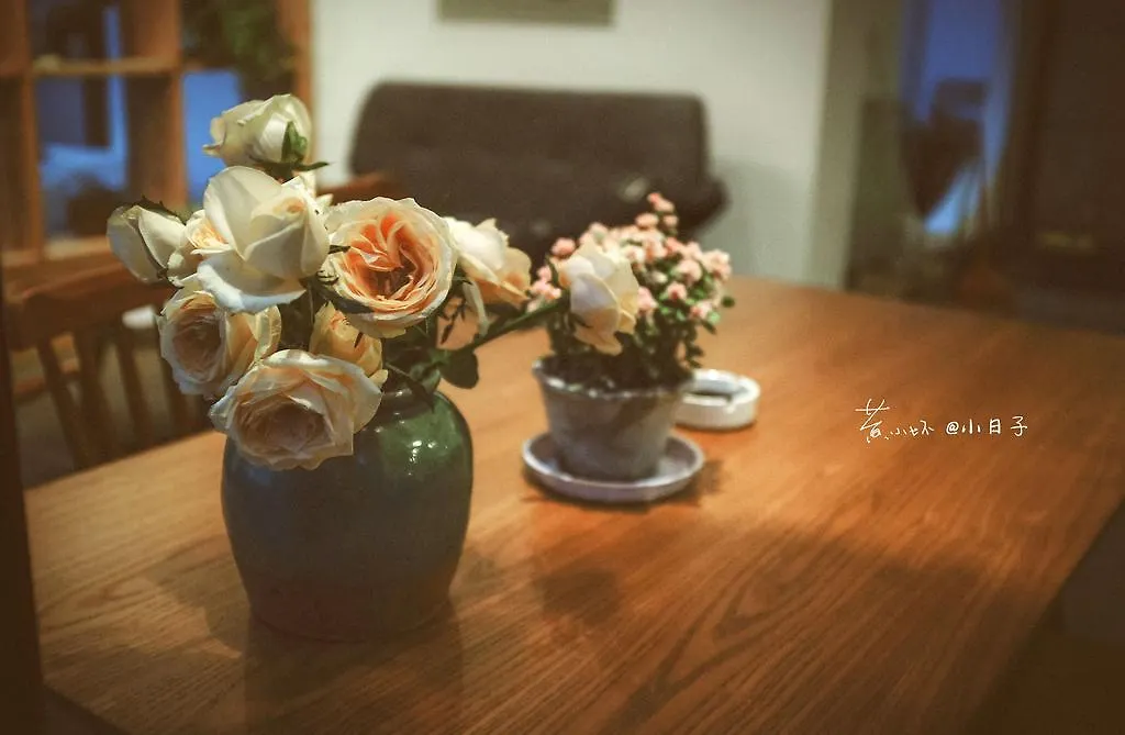 Homestay Little Days Folk House Apartment Suzhou